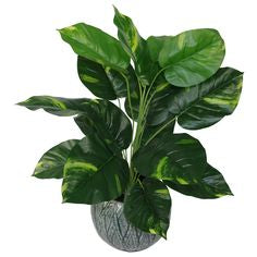Scindapsus Aureus Leaf Artificial Plant (60cm)