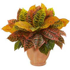 Croton Artificial Plant (70cm)