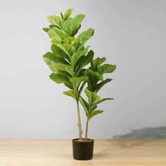 Fiddle Leaf Artificial Plant (120cm)
