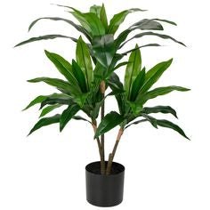 Yucca Artificial Plant (120cm)