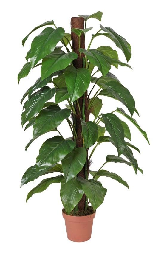 Artificial Money Plant (105cm)