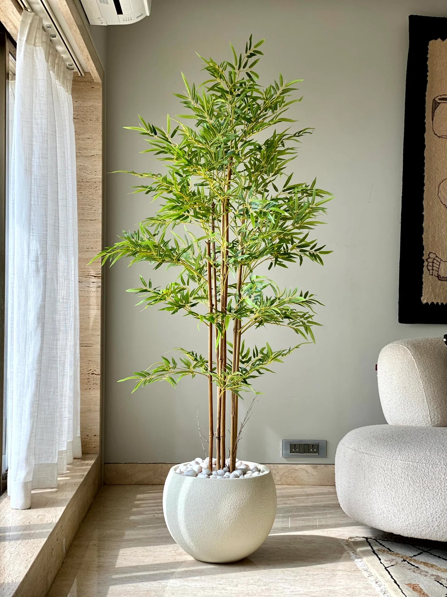 Bamboo Plant (Per piece)