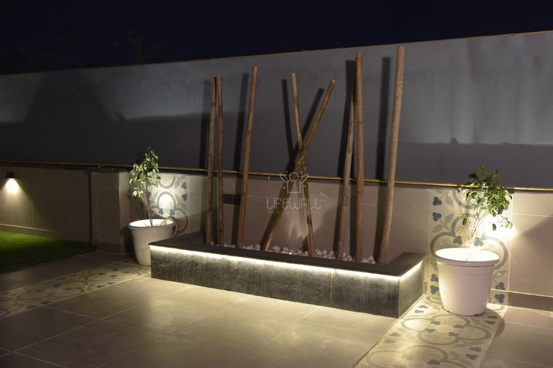 Mr. Maan Sharma | Terrace Garden | New Delhi
