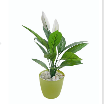 Spathe Artificial Plant (60cm)