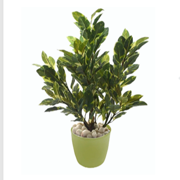 Quercus Artificial Plant (70cm)