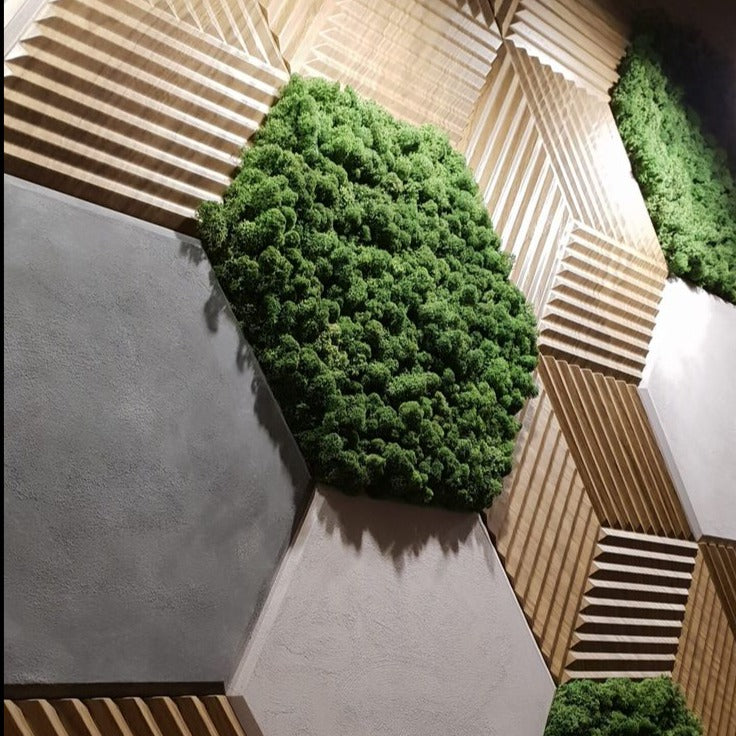 Hexa Vista Feature Walls