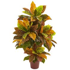 Croton Artificial Plant (70cm)