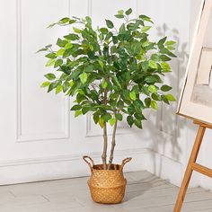 Quercus Artificial Plant (70cm)