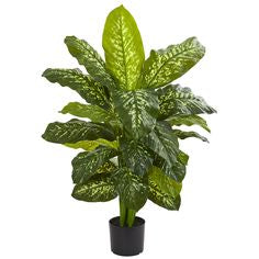 Diffenbachia Artificial Plant X5 (100cm)