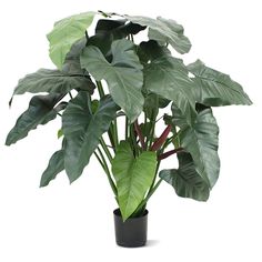 Philodendron X8 artificial plant (65cm)