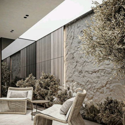 Rock Wall Plants Feature Wall