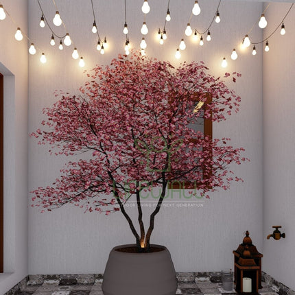 Ms. Rina | Terrace Garden Design