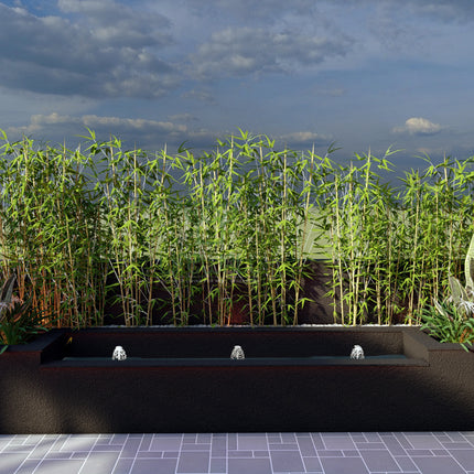 Mr. Ashok Narula | Terrace Garden Design
