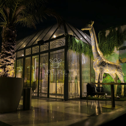Mr. Kunal Jagi | Terrace Garden | Noida