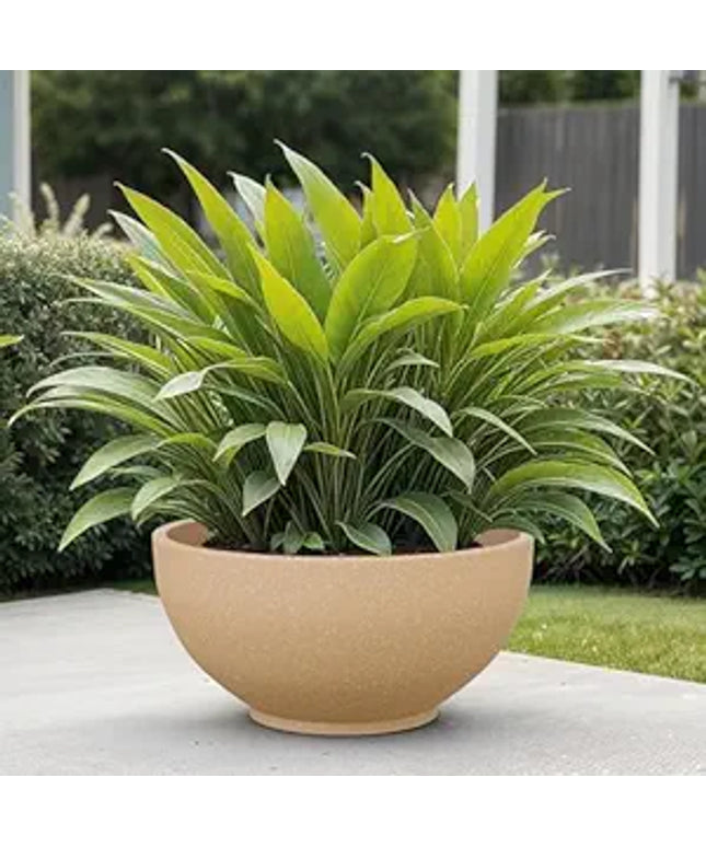 The Plant Loft Planter
