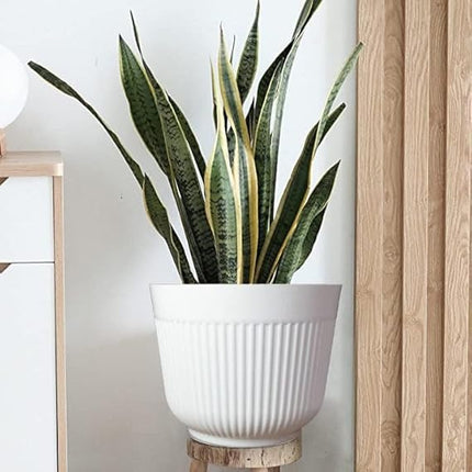 Simplistic 12 Inch Flower Pots Big Size Planters Indoor & Outdoor Home Gardening Pots for Plants Plastic Gamla for Flowers, Herbs, Cactus Plant Pots (Pack of 6, White)