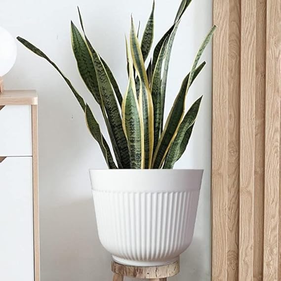 Simplistic 12 Inch Flower Pots Big Size Planters Indoor & Outdoor Home Gardening Pots for Plants Plastic Gamla for Flowers, Herbs, Cactus Plant Pots (Pack of 6, White)