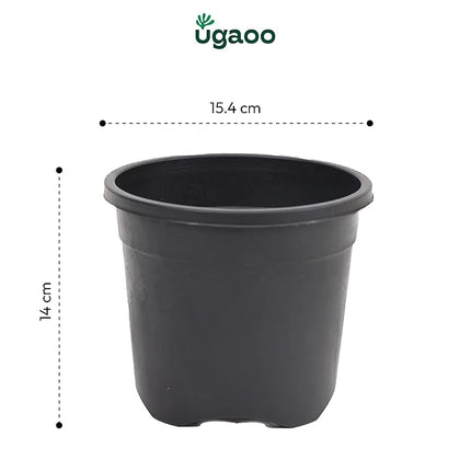 Plastic Planters Treated Gardening Pots and Planters for Plants (Per Piece)