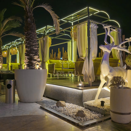 Mr. Kunal Jagi | Terrace Garden | Noida