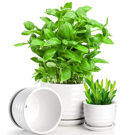 Wavy Round Modern Ceramic Garden Flower Pots White Succulent Cactus Plant Pots, Set of 3