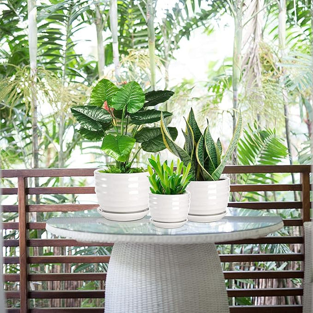 Wavy Round Modern Ceramic Garden Flower Pots White Succulent Cactus Plant Pots, Set of 3