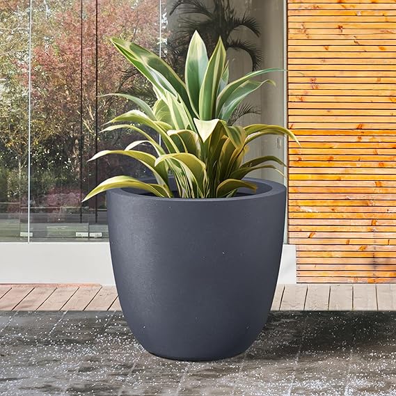 Sprout & Grow Planter