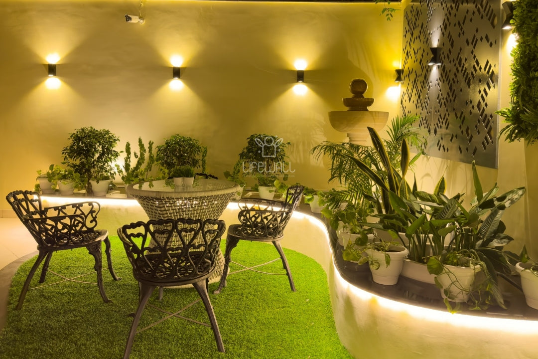 Mr. Akshay Tripathi | Terrace Garden | Gurgram