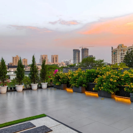 Alisha Gandhi | Terrace Garden | New Delhi