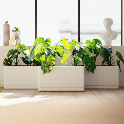 Cuboidal Planter (Per Piece)